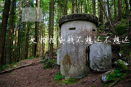 欠拍拍贷钱不想还(不想还拍拍贷了)