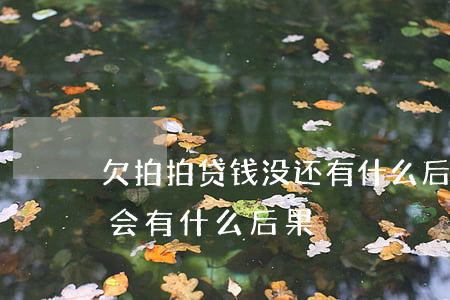 欠拍拍贷钱没还有什么后果(拍拍贷的钱没还会有什么后果)