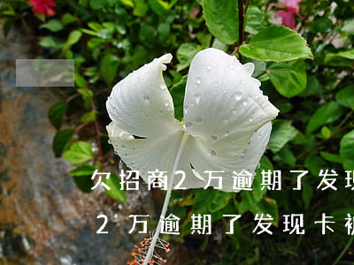 欠招商2万逾期了发现卡被注销了-欠招商2万逾期了发现卡被注销了怎么办