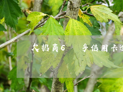 欠招商6萬多信用卡逾期3個月