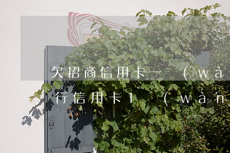欠招商信用卡一萬(wàn)五-欠招商銀行信用卡1萬(wàn)左右3個(gè)月了會(huì)上失信名單成老賴嗎