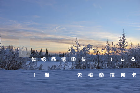 欠招商信用卡兩萬(wàn)五會(huì)起訴嗎（欠招商信用卡兩萬(wàn)五）