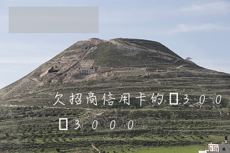 欠招商信用卡的錢3000（欠招商信用卡的錢3000）