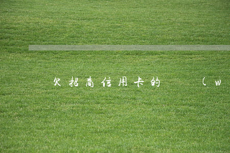 欠招商信用卡的錢無(wú)力償還怎么辦