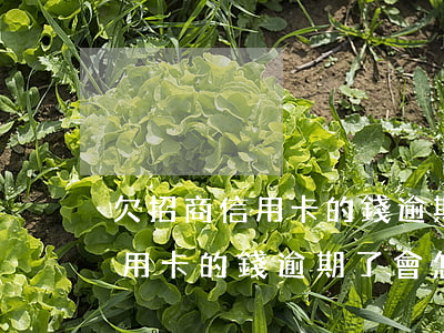 欠招商信用卡的錢逾期了會怎樣-欠招商信用卡的錢逾期了會怎樣呢