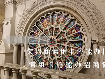 欠招商信用卡还能办招商储蓄卡吗-欠招商信用卡还能办招商储蓄卡吗知乎