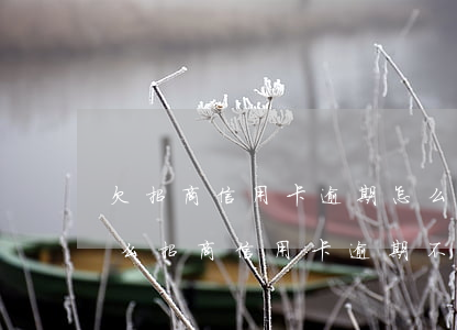 欠招商信用卡逾期怎么協(xié)商(為什么招商信用卡逾期不肯協(xié)商減免違約金)