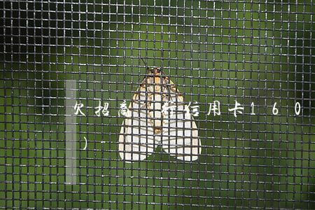 欠招商銀行信用卡1600塊錢(qián)-