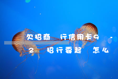 欠招商銀行信用卡9萬-欠招商銀行信用卡2萬,招行要起訴怎么辦