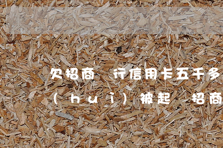 欠招商銀行信用卡五千多會(huì)不會(huì)被起訴（招商信用卡逾期多少銀行不會(huì)起訴）