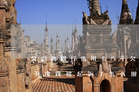 欠招商銀行信用卡八千(欠招商銀行信用卡三千塊錢被起訴了怎么辦)