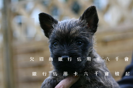 欠招商銀行信用卡六千會被起訴嗎-欠招商銀行信用卡六千會被起訴嗎知乎