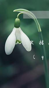 欠招商銀行信用卡利息(欠招商銀行信用卡錢(qián)會(huì)不會(huì)扣儲(chǔ)蓄卡的錢(qián)逾期)