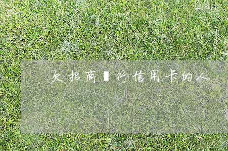 欠招商銀行信用卡的人
