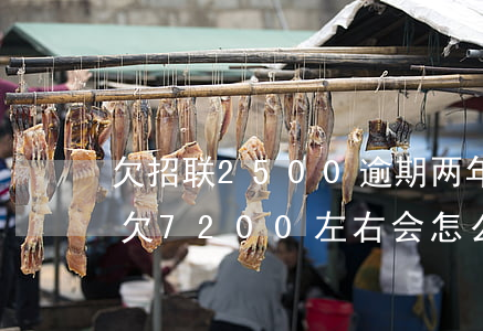 欠招联2500逾期两年(招联金融逾期三年欠7200左右会怎么样)