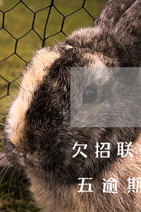 欠招联好期贷5万多逾期(欠招联好期贷一万五逾期会被起诉吗?)