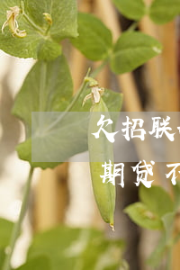 欠招联好期贷钱支付宝会被冻结吗-招联好期贷不还会影响支付宝吗?