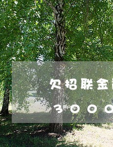 欠招联金融1000逾期一年(招联金融欠款3000已经逾期半年了我会坐牢吗)