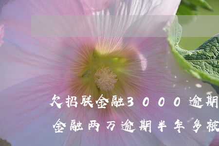 欠招联金融3000逾期会怎样(有人欠招联金融两万逾期半年多被起诉的吗)