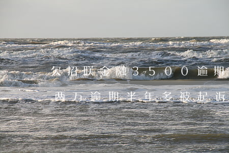 欠招联金融3500逾期了(有人欠招联金融两万逾期半年多被起诉的吗)