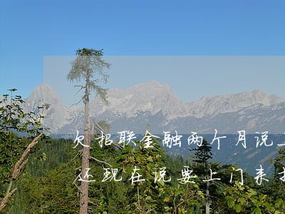 欠招联金融两个月说上门真的吗(招联金融没还现在说要上门来找是真是假)