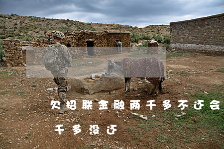 欠招联金融两千多不还会怎么样(招联金融三千多没还)