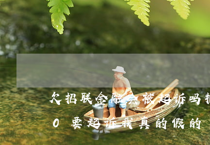欠招联金融会被起诉吗(招联金融欠款5000要起诉我真的假的)