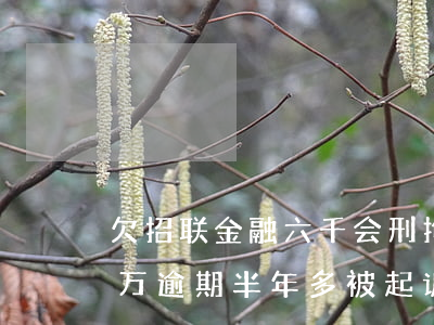 欠招联金融六千会刑拘吗(有人欠招联金融两万逾期半年多被起诉的吗)