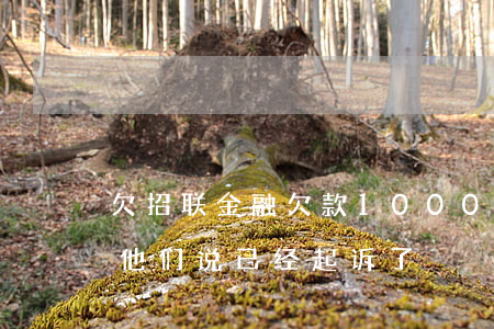 欠招联金融欠款1000(欠了招联金融的钱,他们说已经起诉了)