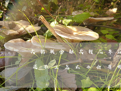 欠招联金融欠钱几年没还怎么办(欠招联金融还不上怎么办会有哪些后果)