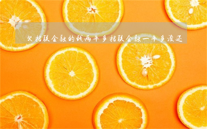 欠招联金融的钱两年多(招联金融一年多没还)
