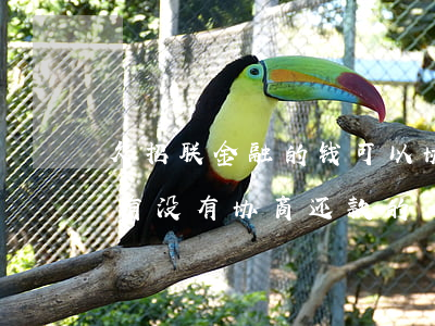 欠招联金融的钱可以协商还本金吗(招联金融有没有协商还款的)