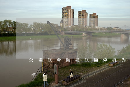 欠招联金融被联通停机(为什么招联金融被冻结了)