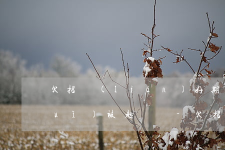 欠招聯(lián)好期貸2500會(huì)被起訴嗎-欠招聯(lián)好期貸15會(huì)不會(huì)坐牢