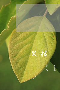 欠招聯(lián)好期貸逾期解決方案(招聯(lián)好期貸逾期3年,現(xiàn)在想要還款如何解決)