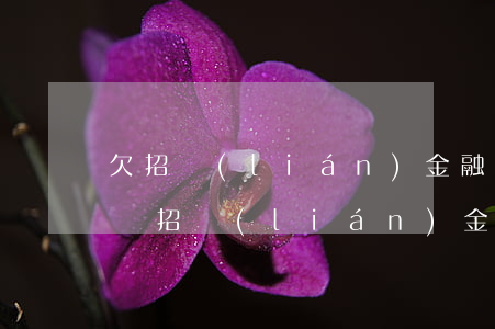 欠招聯(lián)金融1000不還怎么樣(招聯(lián)金融欠1000多3年了會(huì)不會(huì)找上門?)
