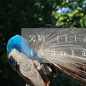 欠招聯(lián)金融1600(欠招聯(lián)金融的錢還不起了有刑事責任嗎?)