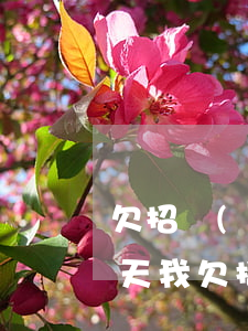 欠招聯(lián)金融1900逾期20天(我欠招聯(lián)金融貸款15000逾期兩年會(huì)怎么樣)