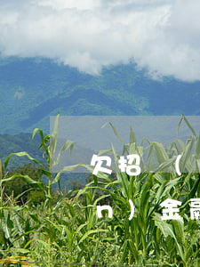 欠招聯(lián)金融1(欠招聯(lián)金融150000還不上會(huì)怎么樣處理)
