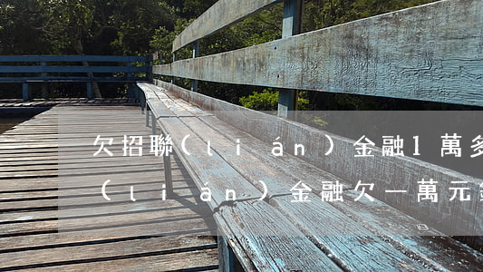 欠招聯(lián)金融1萬多要立案(招聯(lián)金融欠一萬元錢沒還被告了會抓起來嗎)