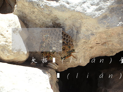 欠招聯(lián)金融1萬多還不上了(有欠招聯(lián)金融五萬以上一年多沒還的嗎?)
