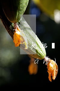 欠招聯(lián)金融2萬(欠招聯(lián)金融2萬可以跟銀行怎么協(xié)商)