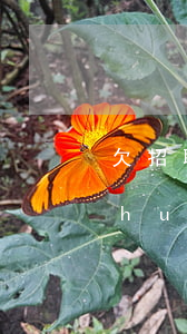欠招聯(lián)金融3000逾期會(huì)怎樣(有人欠招聯(lián)金融兩萬逾期半年多被起訴的嗎)