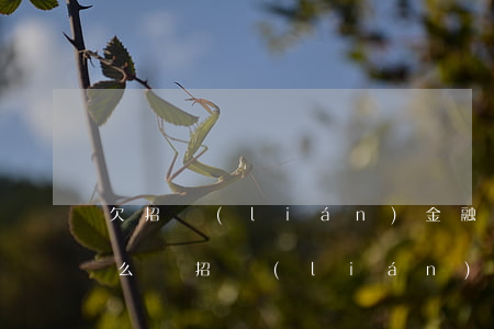 欠招聯(lián)金融4000逾期會怎么樣(招聯(lián)金融欠款1400逾期了,然后剛才收到)