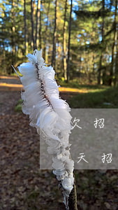欠招聯(lián)金融7000逾期60天(招聯(lián)金融欠款1400逾期了,然后剛才收到)