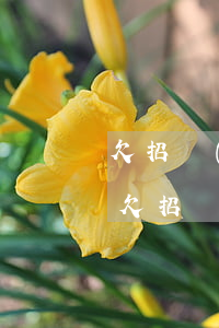 欠招聯(lián)金融800說要仲裁(我欠招聯(lián)金融40000元起訴了會有什么后果)