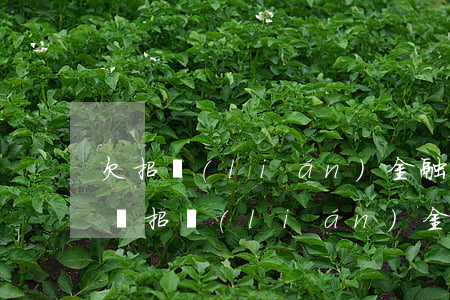 欠招聯(lián)金融二千逾期了會上門嗎(招聯(lián)金融欠4萬多逾期兩個月了說要上門催收是真的嗎)