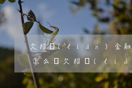 欠招聯(lián)金融五百會(huì)怎么樣(欠招聯(lián)500塊錢會(huì)怎么樣)