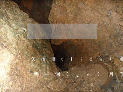 欠招聯(lián)金融五萬(wàn)逾期一個(gè)月了(有人欠招聯(lián)金融兩萬(wàn)逾期半年多被起訴的嗎)