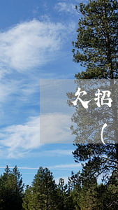 欠招聯(lián)金融十幾萬怎么辦(欠招聯(lián)金融15000還不上會怎么樣處理)